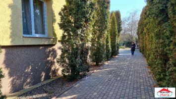 casa-vila-cu-teren-1445-ari-paulesti-id-22659-4