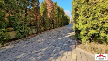 casa-vila-cu-teren-1445-ari-paulesti-id-22659-17