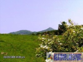 teren-916-ha-extravilan-valea-mare-pravat-2