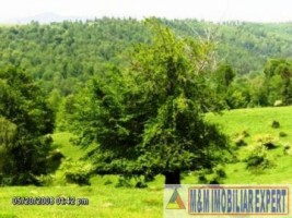 teren-916-ha-extravilan-valea-mare-pravat-5