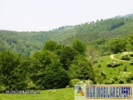 teren-916-ha-extravilan-valea-mare-pravat-11