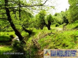 teren-916-ha-extravilan-valea-mare-pravat-12