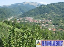 teren-de-15-ha-intravilan-in-stoenesti-cotesti-ideal-pentru-dezvoltari-rezidentiale-sau-investitii