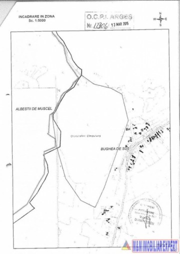 vanzare-padure-10-ha-in-bughea-de-sus-oportunitate-unica-2