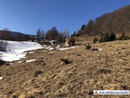 teren1648-mp-835-813-mp-intravilan-in-dambovicioara-ag-2