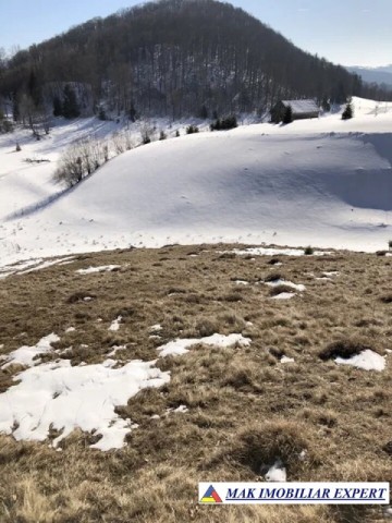 teren1648-mp-835-813-mp-intravilan-in-dambovicioara-ag-3
