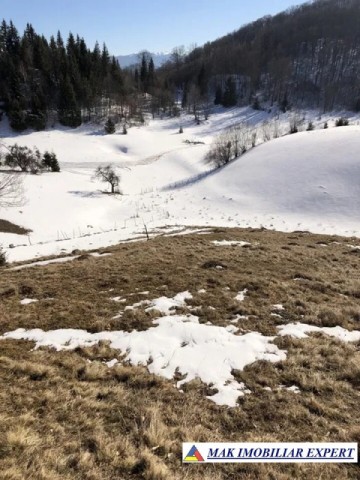 teren1648-mp-835-813-mp-intravilan-in-dambovicioara-ag-4