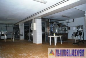 vila-tip-conac-12-camere-teren-220-ha-de-vanzare-in-dragodana-dambovita-oportunitate-pentru-dezvoltare-9