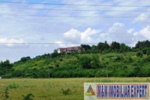 vila-tip-conac-12-camere-teren-220-ha-de-vanzare-in-dragodana-dambovita-oportunitate-pentru-dezvoltare-11