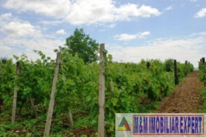 vila-tip-conac-12-camere-teren-220-ha-de-vanzare-in-dragodana-dambovita-oportunitate-pentru-dezvoltare-13