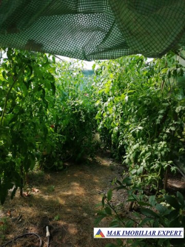 casa-3-camere-teren-de-208-mp-in-voinesti-leresti-arges-19