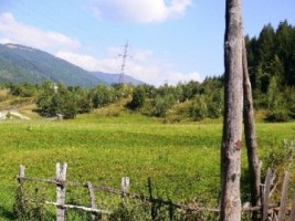 teren-5000-mp-extravilan-de-vanzare-in-leresti-arges-ideal-pentru-activitati-agricole-sau-recreationale-1