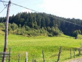 teren-5000-mp-extravilan-de-vanzare-in-leresti-arges-ideal-pentru-activitati-agricole-sau-recreationale-2