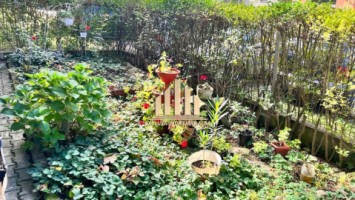 apartament-2-camere-cetate-cu-gradina-6