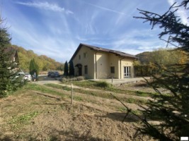 vila-campulung-muscel-teren-4200-mp-260000-euro-2