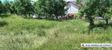 teren-intravilan-4000-mp-in-bughea-de-jos-arges-potential-ridicat-pentru-constructii