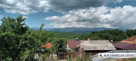 teren-intravilan-4000-mp-in-bughea-de-jos-arges-potential-ridicat-pentru-constructii-2