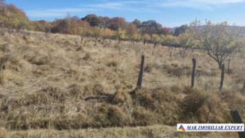 teren-intravilan-3700-mp-in-campulung-oportunitate-unica-pentru-dezvoltare