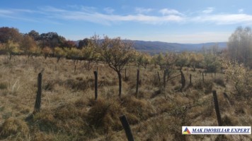 teren-intravilan-3700-mp-in-campulung-oportunitate-unica-pentru-dezvoltare-2