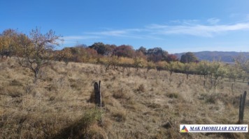 teren-intravilan-3700-mp-in-campulung-oportunitate-unica-pentru-dezvoltare-4