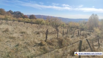 teren-intravilan-3700-mp-in-campulung-oportunitate-unica-pentru-dezvoltare-3