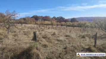 teren-intravilan-3700-mp-in-campulung-oportunitate-unica-pentru-dezvoltare-5