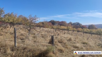 teren-intravilan-3700-mp-in-campulung-oportunitate-unica-pentru-dezvoltare-6