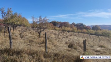 teren-intravilan-3700-mp-in-campulung-oportunitate-unica-pentru-dezvoltare-7