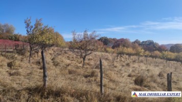 teren-intravilan-3700-mp-in-campulung-oportunitate-unica-pentru-dezvoltare-8