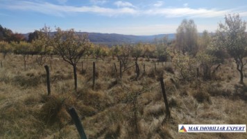 teren-intravilan-3700-mp-in-campulung-oportunitate-unica-pentru-dezvoltare-10