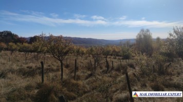 teren-intravilan-3700-mp-in-campulung-oportunitate-unica-pentru-dezvoltare-9