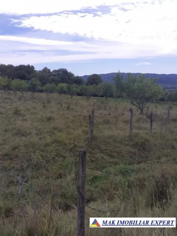 teren-intravilan-3700-mp-in-campulung-oportunitate-unica-pentru-dezvoltare-12