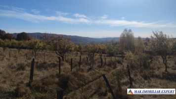 teren-intravilan-3700-mp-in-campulung-oportunitate-unica-pentru-dezvoltare-11