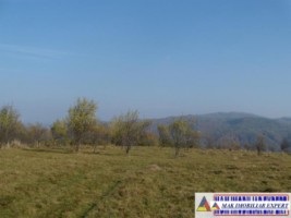teren-intravilan-3700-mp-in-campulung-oportunitate-unica-pentru-dezvoltare-13