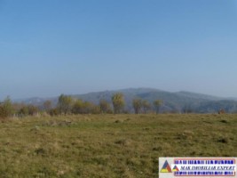 teren-intravilan-3700-mp-in-campulung-oportunitate-unica-pentru-dezvoltare-15