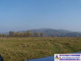 teren-intravilan-3700-mp-in-campulung-oportunitate-unica-pentru-dezvoltare-16