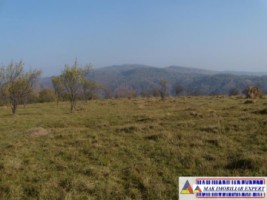 teren-intravilan-3700-mp-in-campulung-oportunitate-unica-pentru-dezvoltare-17
