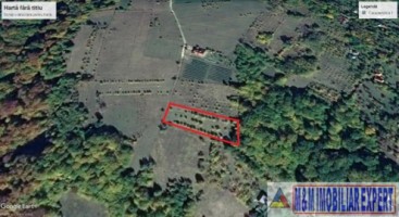 teren-intravilan-3700-mp-in-campulung-oportunitate-unica-pentru-dezvoltare-22