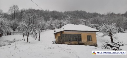 casa-batraneasca-cu-2-camere-si-teren-de-4200-mp-in-valea-barbusii-campulung-muscel-arges-oportunitate-unica-pentru-investitie-si-dezvoltare-1