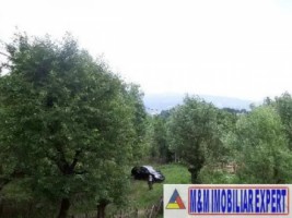 casa-batraneasca-cu-2-camere-si-teren-de-4200-mp-in-valea-barbusii-campulung-muscel-arges-oportunitate-unica-pentru-investitie-si-dezvoltare-4