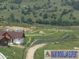 camping-4-camere-teren-110-ha-rucar-pod-dambovitei-3