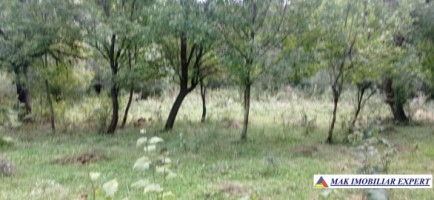 casa-3-camere-teren-5948-mp-valea-mare-pravat-arges-10