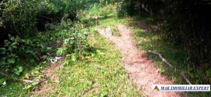 casa-3-camere-teren-5948-mp-valea-mare-pravat-arges-12