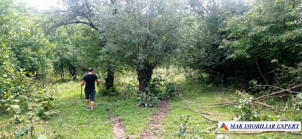 casa-3-camere-teren-5948-mp-valea-mare-pravat-arges-13