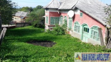 casa-cu-3-camere-si-teren-generos-de-7500-mp-in-valea-mare-pravat-arges-oportunitate-ideala-pentru-familie-3