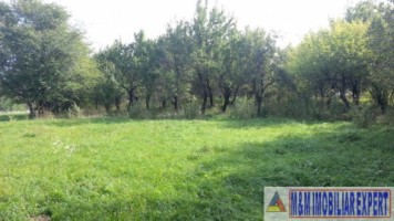 casa-cu-3-camere-si-teren-generos-de-7500-mp-in-valea-mare-pravat-arges-oportunitate-ideala-pentru-familie-8