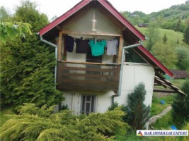urgent-vila-3-camere-cu-teren-de-7000-mp-de-vanzare-in-dambovicioara-oportunitate-excelenta-pentru-investitie-2