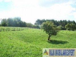 nu-raspunde-rapea-paul-teren-107-ha-intravilan-valea-mare-pravat-bilcesti