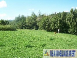 nu-raspunde-rapea-paul-teren-107-ha-intravilan-valea-mare-pravat-bilcesti-6