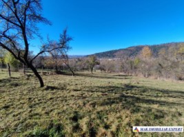 teren-intravilan-3500-mp-voinesti-leresti-arges-ideal-pentru-constructii-rezidentiale-2